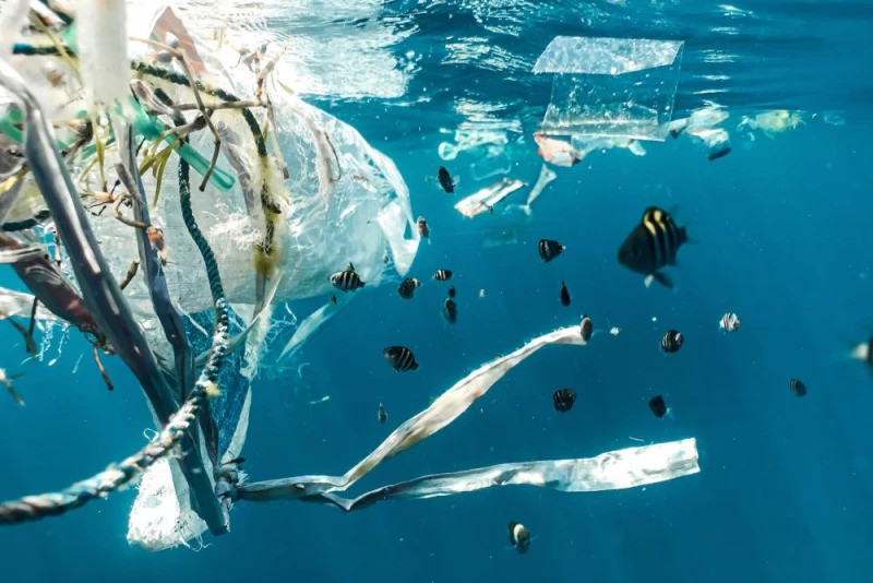 zdjęcie wyróżniające 11 mln ton plastiku leży na dnie oceanów